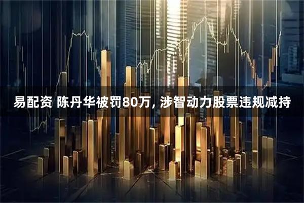 易配资 陈丹华被罚80万, 涉智动力股票违规减持